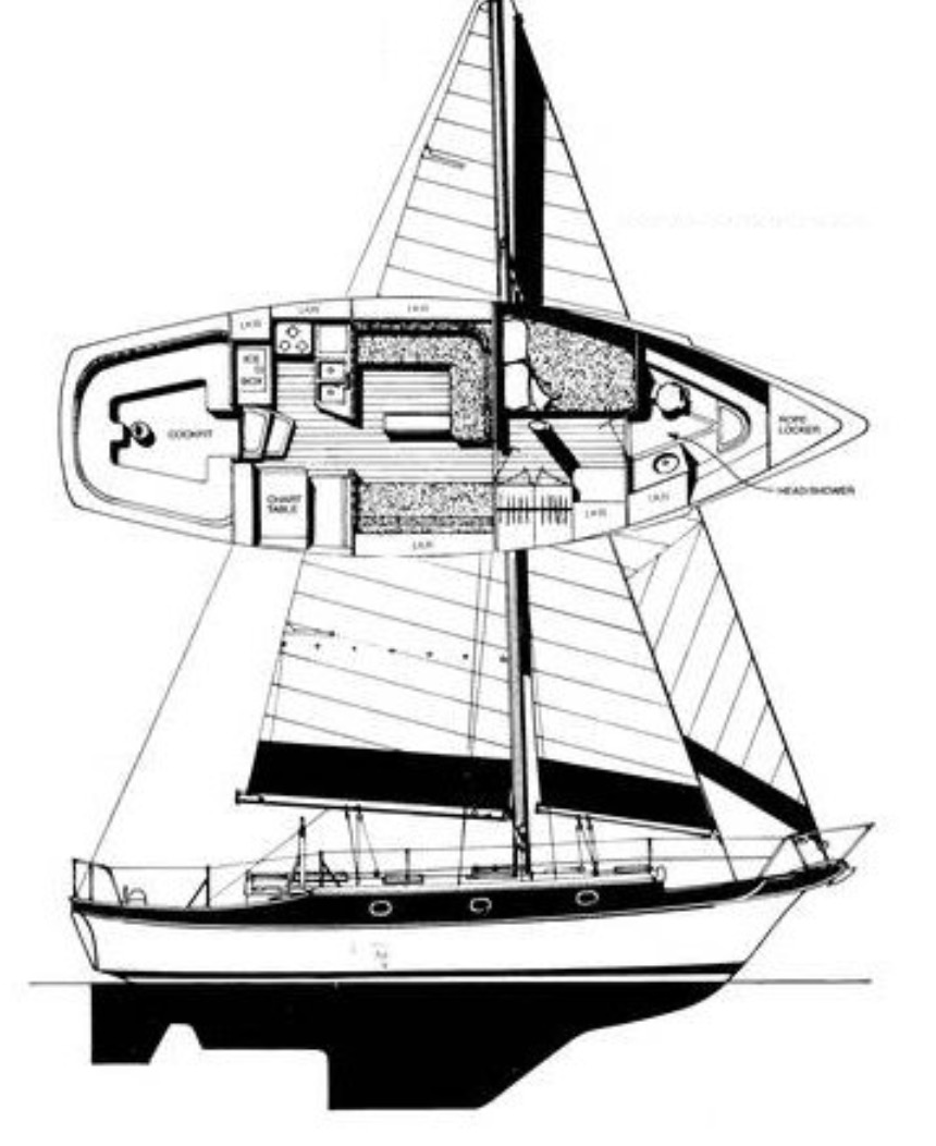 CSY 37