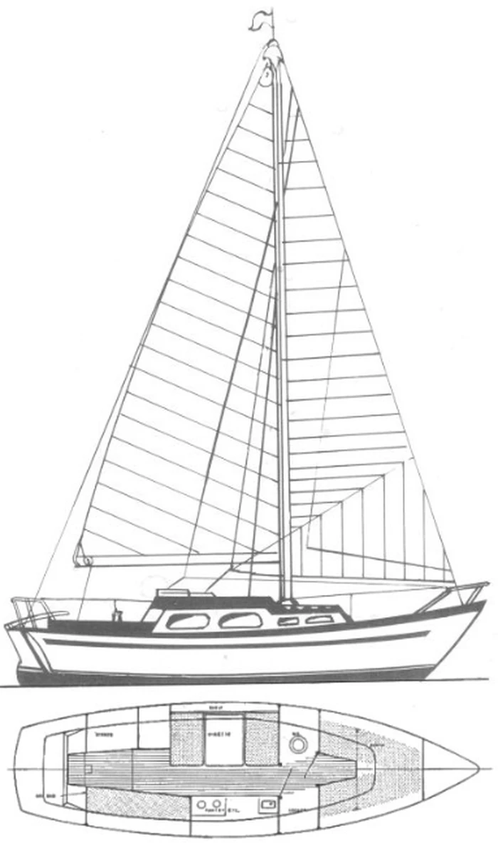 Great Dane 28
