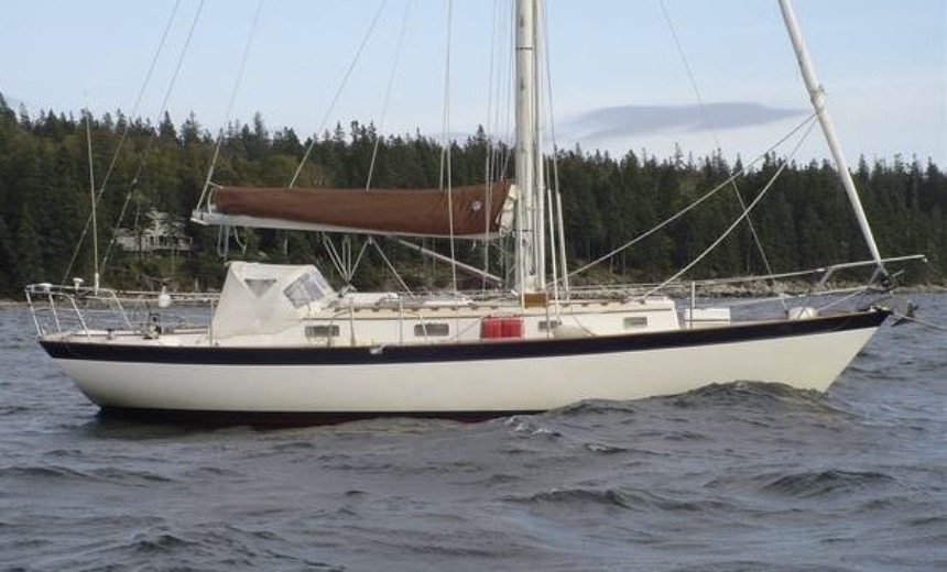 Morris Justine 36