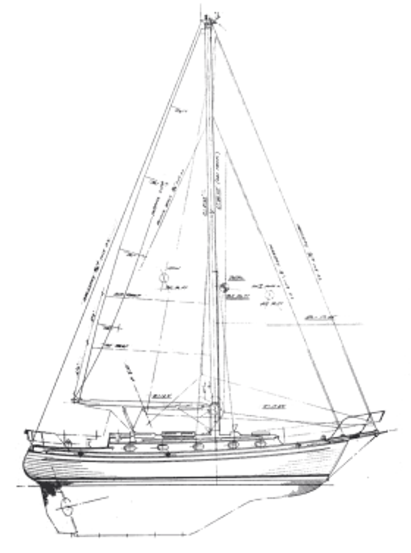 Tashiba 36