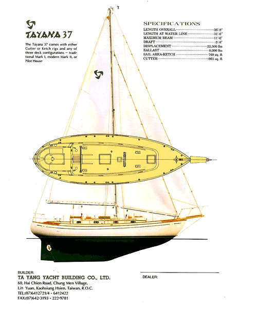 Tayana 37